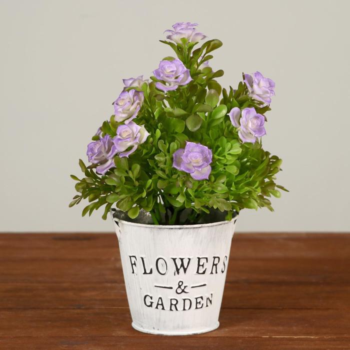 Бонсай в горшке "Роза садовая" 10х20 см, микс
Бонсай в горшке "Роза садовая" 10х20 см, микс