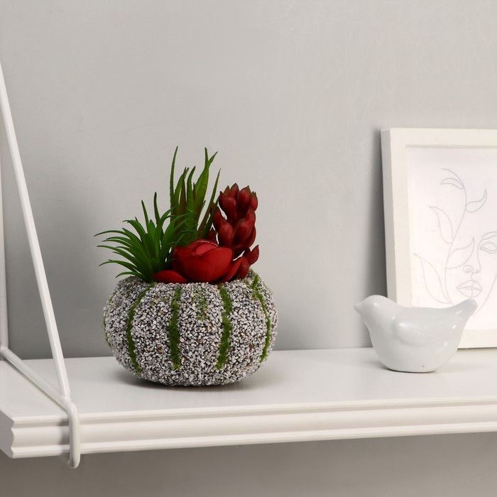 Бонсай "Алоэ" цветок, камень в полоску, 10х14 см, 
Бонсай "Алоэ" цветок, камень в полоску, 10х14 см,