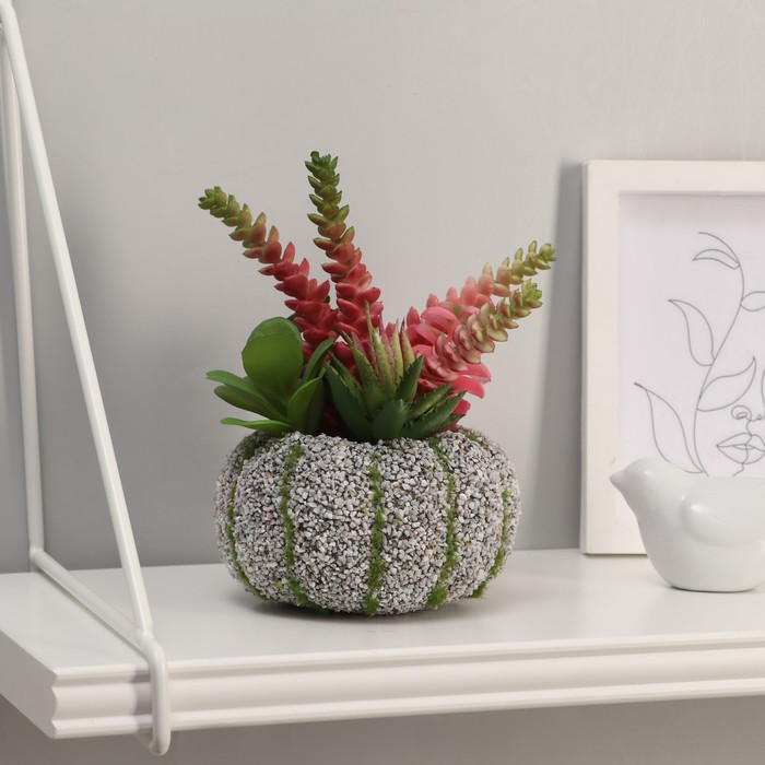 Бонсай "Алоэ" очиток, камень в полоску, 10х17 см,
Бонсай "Алоэ" очиток, камень в полоску, 10х17 см,