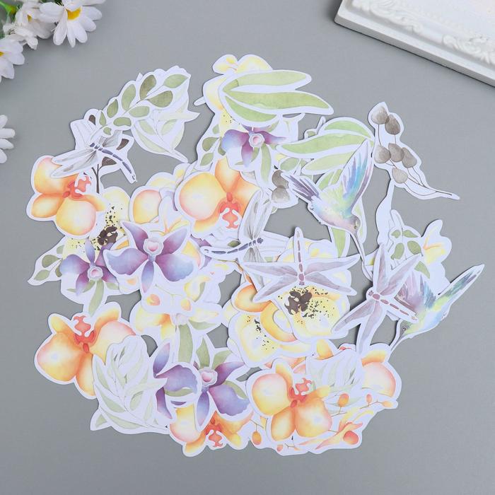 Набор высечек "Sunny Orchid" 49 шт
Набор высечек "Sunny Orchid" 49 шт