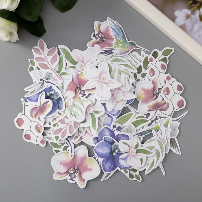 Набор высечек "Tender Orchid" 49 шт
Набор высечек "Tender Orchid" 49 шт