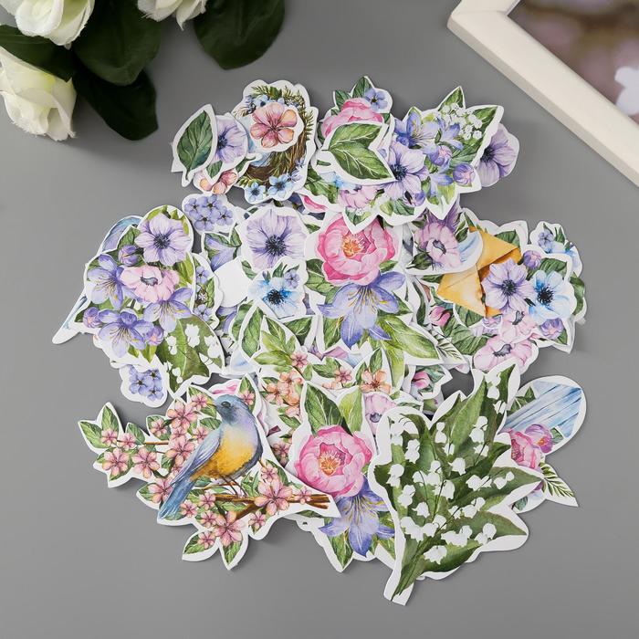 Набор высечек "Colorful spring" 60 шт
Набор высечек "Colorful spring" 60 шт