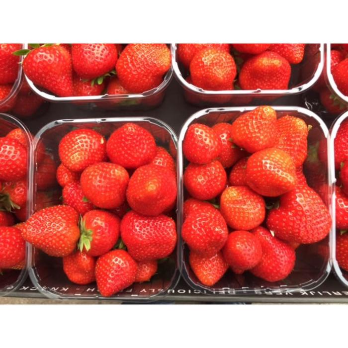 Саженец Земляники ФРИГО Альтесс (Altess) А+ (>15 мм), 10 шт