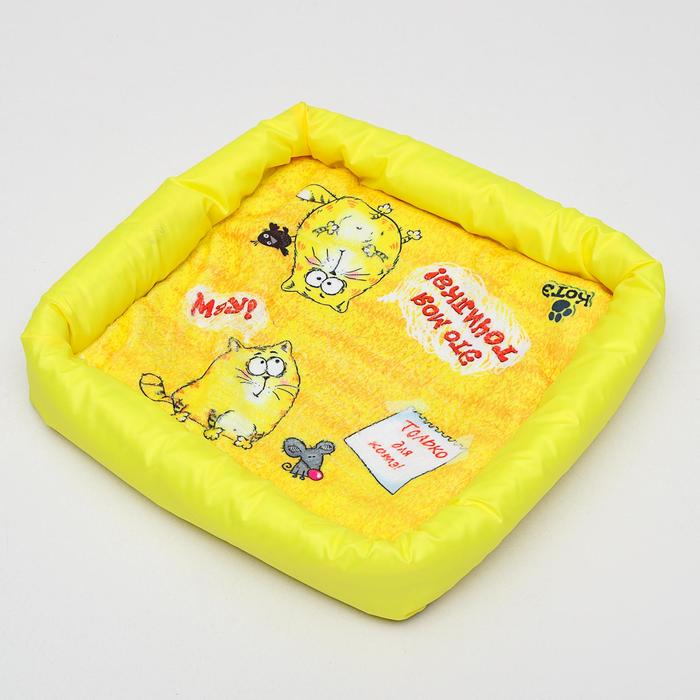 Лежанка с бортом "Это моя точилка", 42 х 42 х 5 см, микс цветов
Лежанка с бортом "Это моя точилка", 42 х 42 х 5 см, микс цветов