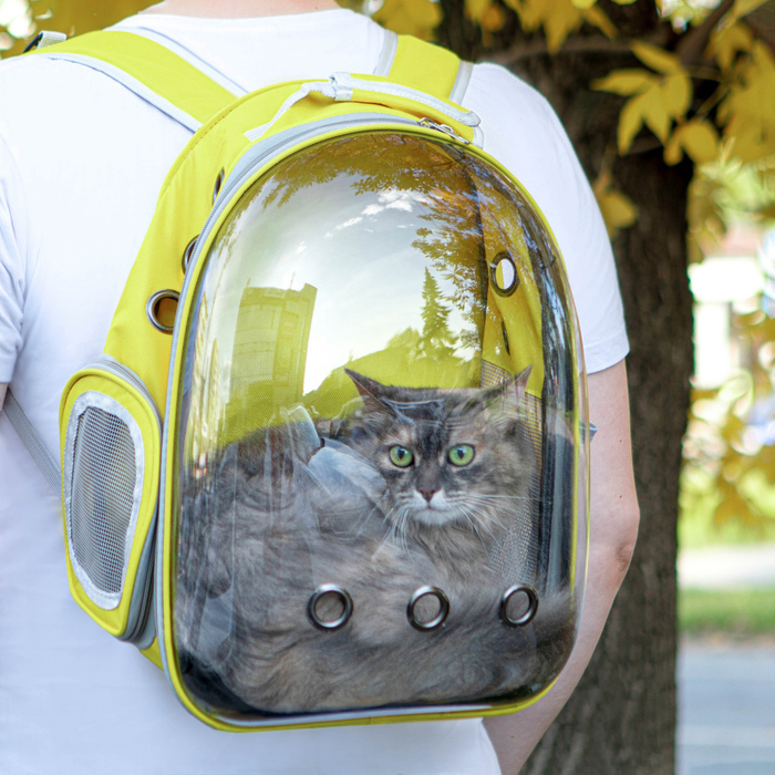 фото Рюкзак для переноски животных, прозрачный, 31 х 28 х 42 см, жёлтый пижон