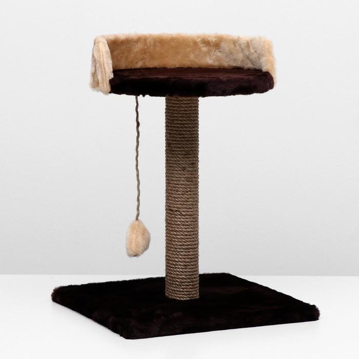 Когтеточка "Столбик" с лежанкой, 40 х 40 х 55 см, тёмно-коричневая
Когтеточка "Столбик" с лежанкой, 40 х 40 х 55 см, тёмно-коричневая