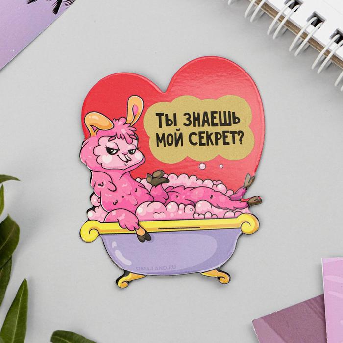 Магнит со скретч-слоем «Мой секрет», 7 х 5.7 см
Магнит со скретч-слоем «Мой секрет», 7 х 5.7 см