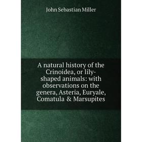 Книга A natural history of the Crinoidea, or lily-shaped animals: with observations on the genera, Asteria, Euryale, Comatula Marsupites
Книга A natural history of the Crinoidea, or lily-shaped animals: with observations on the genera, Asteria, Euryale, Comatula Marsupites