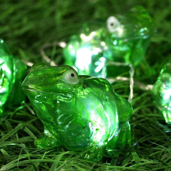 Гирлянда «Старт» «Нить» 1.5 м с насадками «Лягушки», IP44, прозрачная нить, 4 LED, свечение белое, 1 режим, солнечная батарея 
Гирлянда «Старт» «Нить» 1.5 м с насадками «Лягушки», IP44, прозрачная нить, 4 LED, свечение белое, 1 режим, солнечная батарея