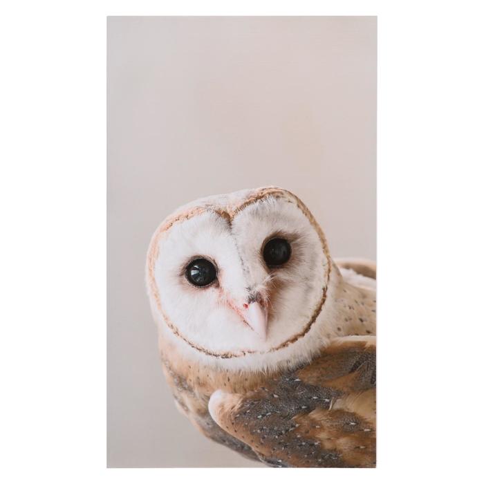 Картина на холсте "Любопытная сова" 60х100 см
Картина на холсте "Любопытная сова" 60х100 см
