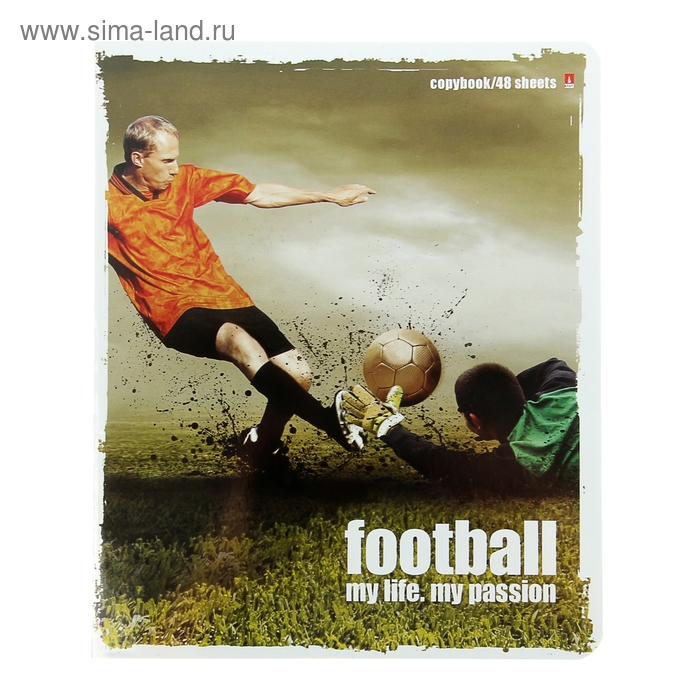 Тетрадь 48 листов клетка "Футбол", 5 видов
Тетрадь 48 листов клетка "Футбол", 5 видов