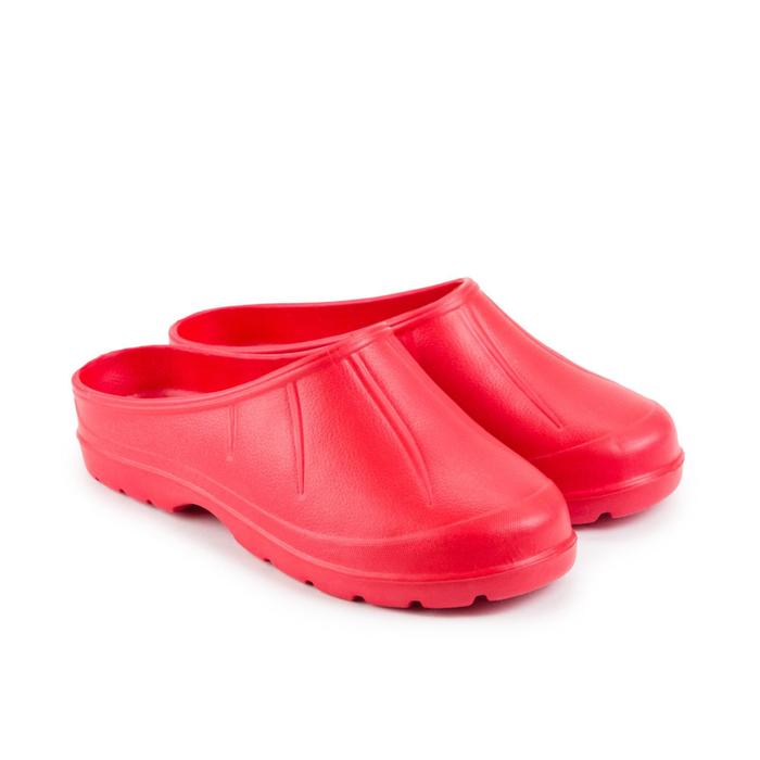 Галоши женские, цвет красный, размер 38
Галоши женские, цвет красный, размер 38