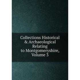 Книга Collections Historical & Archaeological Relating to Montgomeryshire, Volume 3
Книга Collections Historical & Archaeological Relating to Montgomeryshire, Volume 3