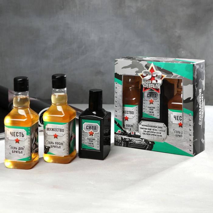 Подарочный набор «23 февраля»: парфюм (100 мл), гели для и после бритья (250 мл)
Подарочный набор «23 февраля»: парфюм (100 мл), гели для и после бритья (250 мл)