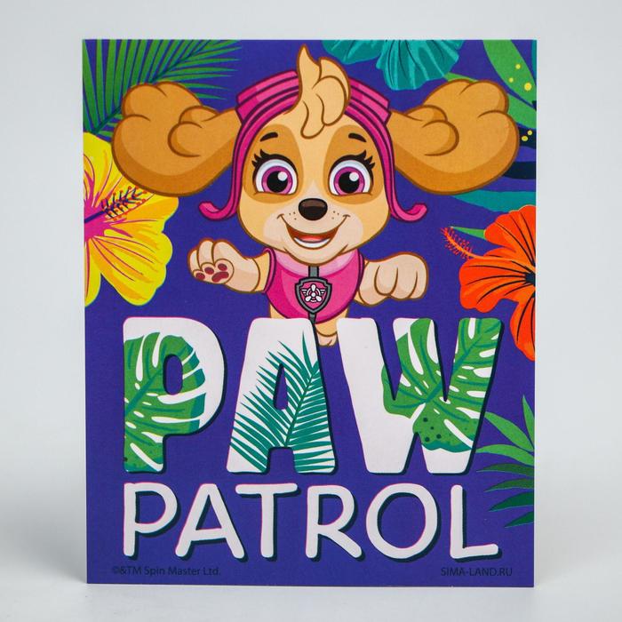 Открытка "С Днем рождения!", Щенячий патруль
Открытка "С Днем рождения!", Щенячий патруль