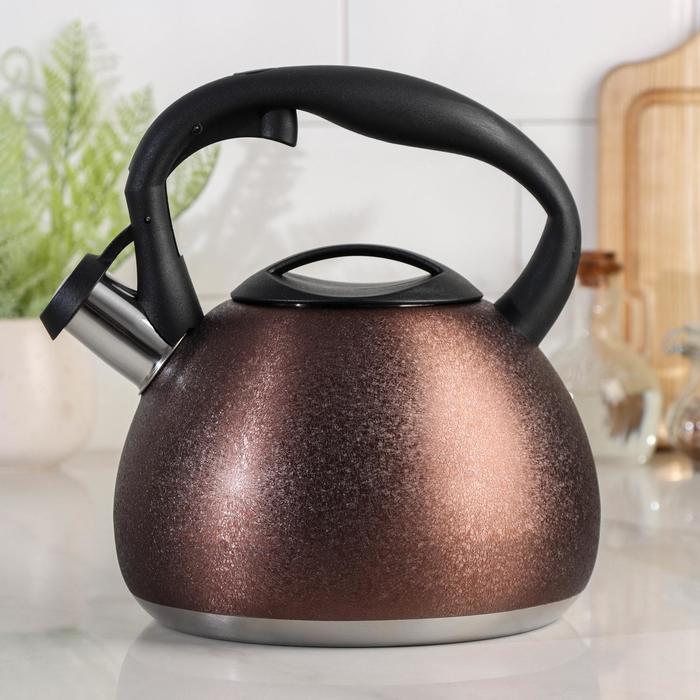 Чайник со свистком «Бархат», 3 л, цвет коричневый
Чайник со свистком «Бархат», 3 л, цвет коричневый