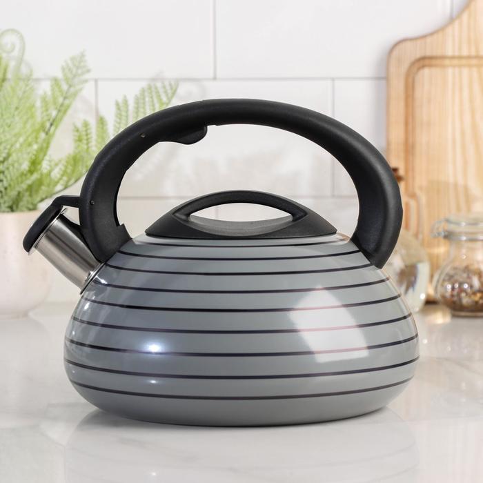 фото Чайник со свистком, circles, цвет серый