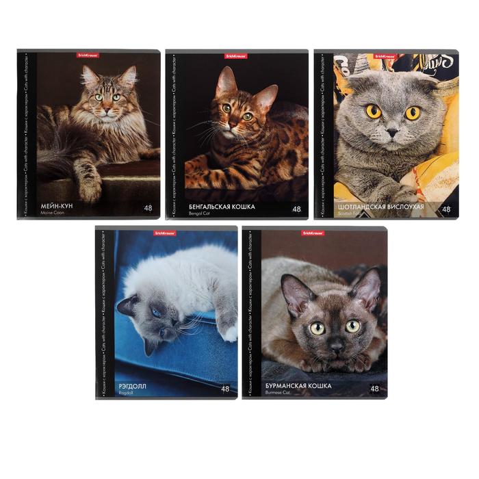 Тетрадь 48 листов в клетку "Кошки с характером", обложка мелованный картон, блок офсет, МИКС
Тетрадь 48 листов в клетку "Кошки с характером", обложка мелованный картон, блок офсет, МИКС