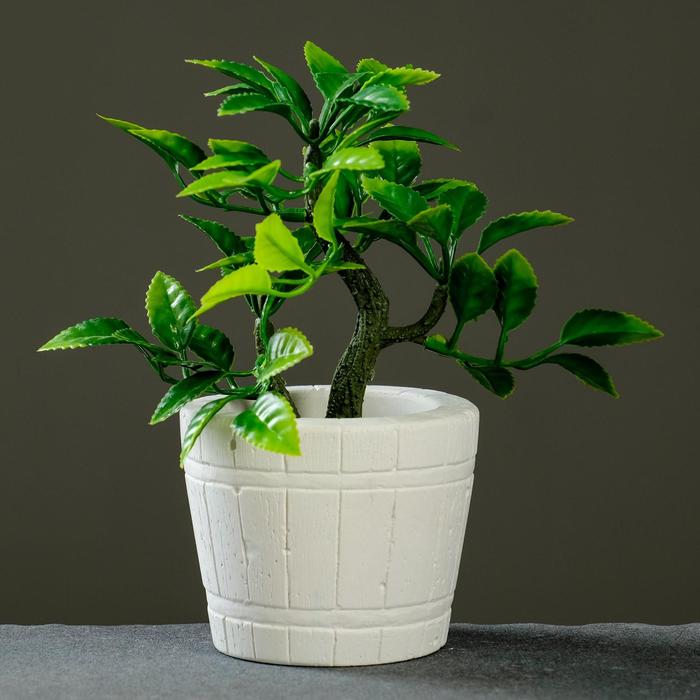 Кашпо Ведерко, белое
Кашпо Ведерко, белое