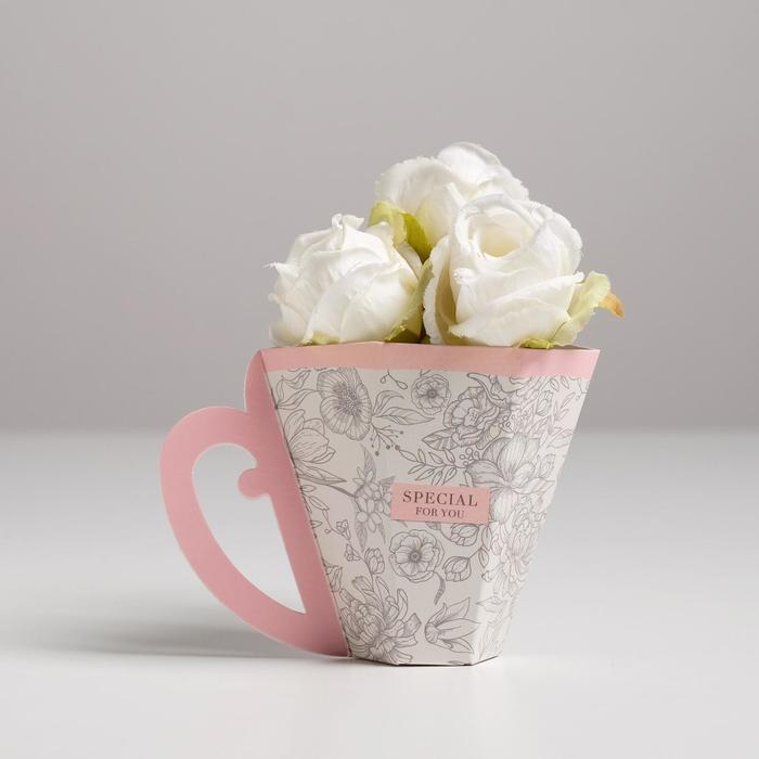 Коробка-переноска кружка «Special for you», 9 х 7 см
Коробка-переноска кружка «Special for you», 9 х 7 см