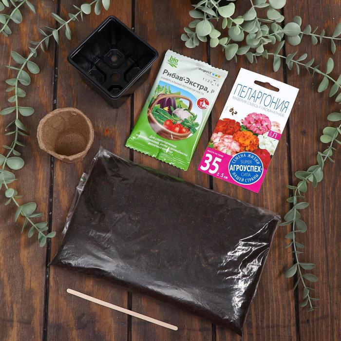 Набор для выращивания домашних цветов "Пеларгония"
Набор для выращивания домашних цветов "Пеларгония"