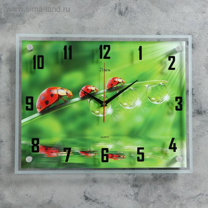 Часы настенные прямоугольные "Божьи коровки", 35х45 см
Часы настенные прямоугольные "Божьи коровки", 35х45 см
