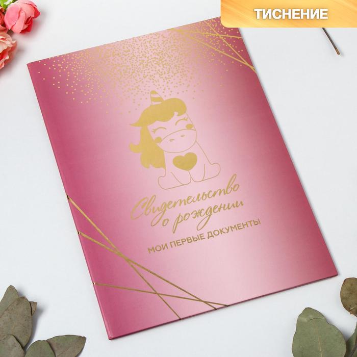Папка под свидетельство о рождении, цвет розовый, А4, 22 х 31 см
Папка под свидетельство о рождении, цвет розовый, А4, 22 х 31 см