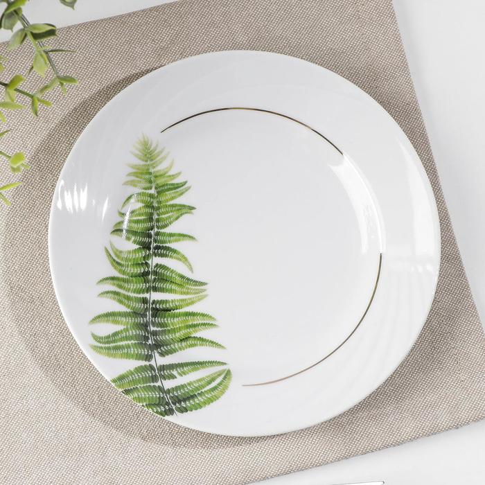 Тарелка мелкая «Папоротник», d=17,5 см
Тарелка мелкая «Папоротник», d=17,5 см
