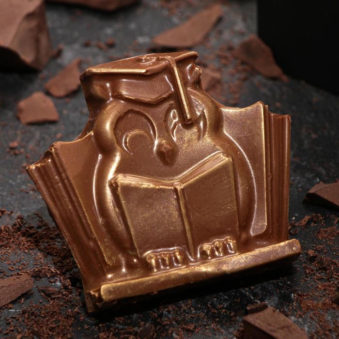 Шоколад фигурный «Учёная сова» молочный, 76 г
Шоколад фигурный «Учёная сова» молочный, 76 г