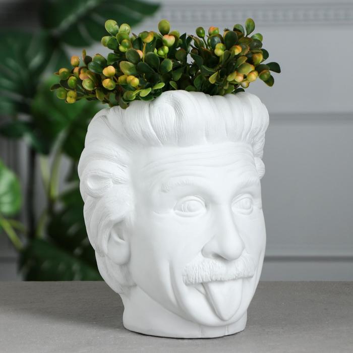 Фигурное кашпо-органайзер "Эйнштейн", белое, 21 см
Фигурное кашпо-органайзер "Эйнштейн", белое, 21 см