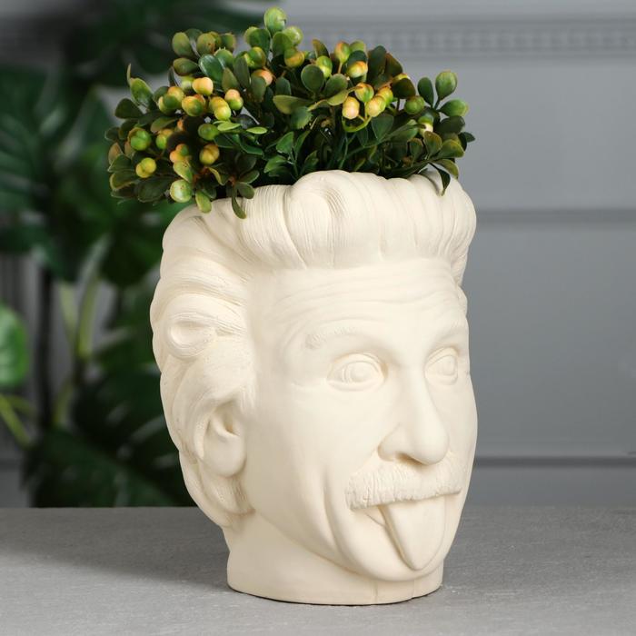 Фигурное кашпо-органайзер "Эйнштейн", бежевое, 21 см
Фигурное кашпо-органайзер "Эйнштейн", бежевое, 21 см