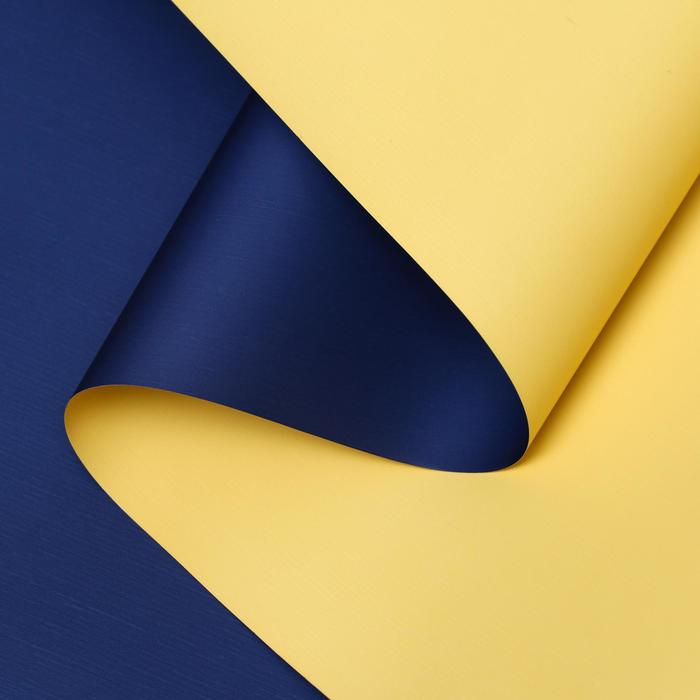 Пленка матовая, синий, желтый, 0.58 х 10 м
Пленка матовая, синий, желтый, 0.58 х 10 м