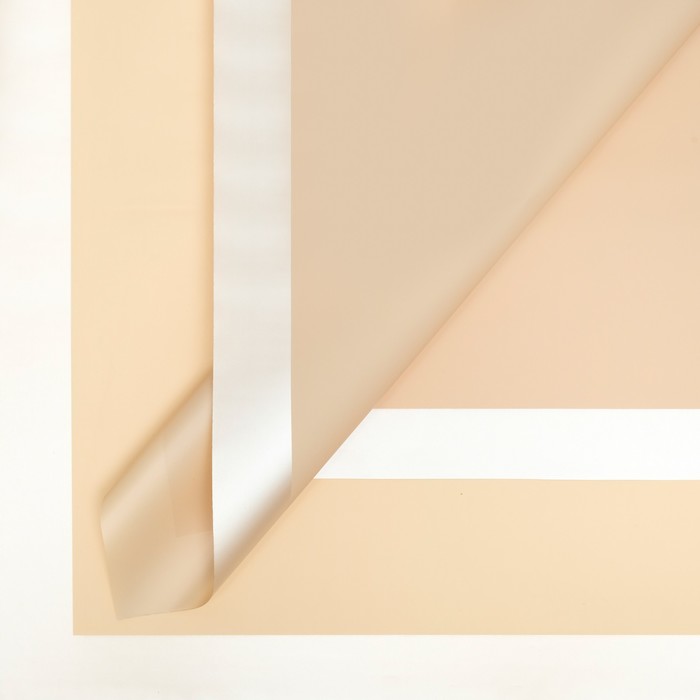 Пленка матовая 58 х 58 см
Пленка матовая 58 х 58 см