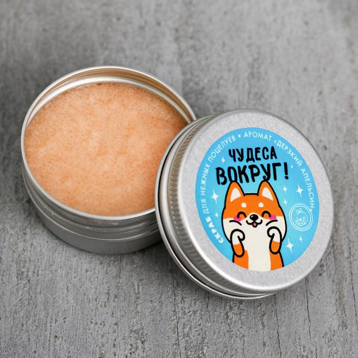 Скраб для губ в баночке «Чудеса вокруг», апельсин
Скраб для губ в баночке «Чудеса вокруг», апельсин