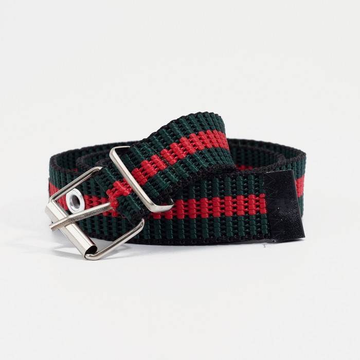 Ремень женский, ширина 2,5 см, пряжка металл, цвет чёрный/зелёный/красный
Ремень женский, ширина 2,5 см, пряжка металл, цвет чёрный/зелёный/красный