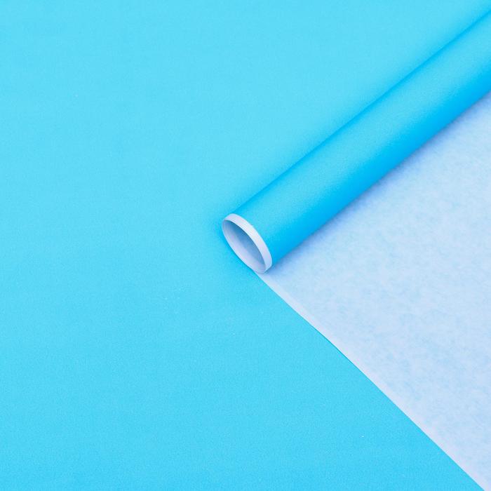 Бумага упаковочная крафт, голубой, 70 х 90 см, 70 г/м²
Бумага упаковочная крафт, голубой, 70 х 90 см, 70 г/м²