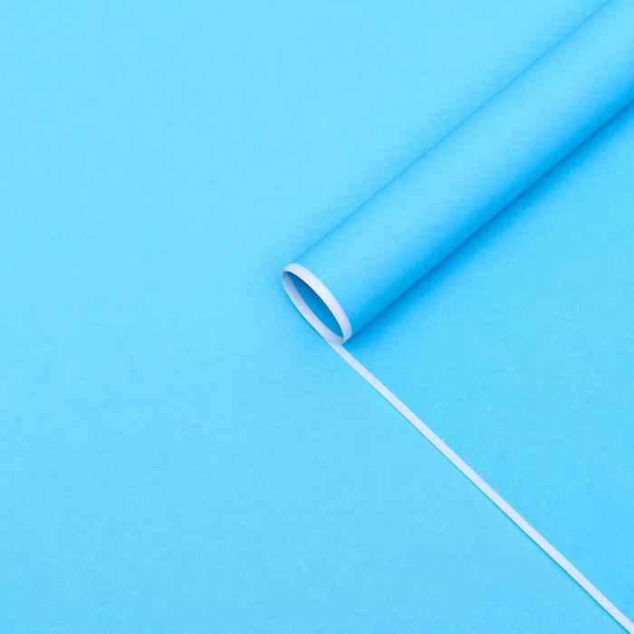 Бумага для декора и флористики, UPAK LAND, крафт, двусторонняя, голубая, однотонная, лист 1шт., 70 х 90 см
Бумага для декора и флористики, UPAK LAND, крафт, двусторонняя, голубая, однотонная, лист 1шт., 70 х 90 см