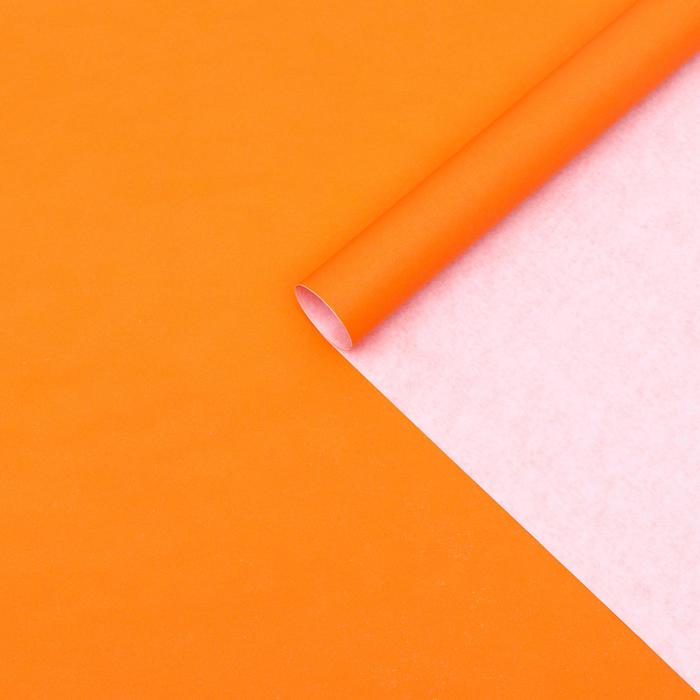 Бумага упаковочная крафт, оранжевый, 70 х 90 см, 70 г/м²
Бумага упаковочная крафт, оранжевый, 70 х 90 см, 70 г/м²