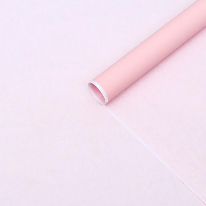 Бумага упаковочная крафт, пастельный, 70 х 90 см, 70 г/м² 
Бумага упаковочная крафт, пастельный, 70 х 90 см, 70 г/м²