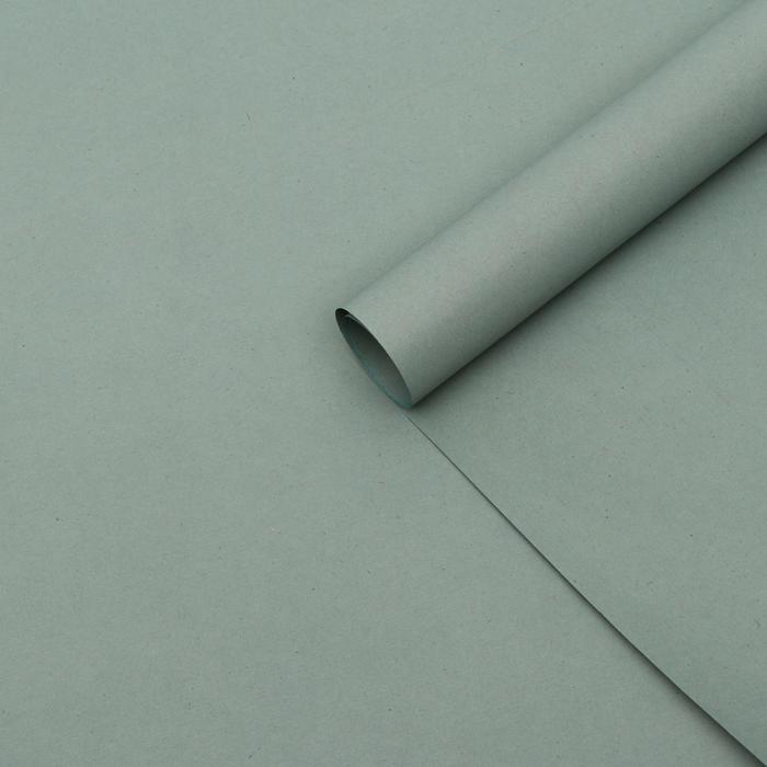 Бумага для декора и флористики, UPAK LAND, крафт, двусторонняя, хаки, зеленая, однотонная, лист 1шт., 70 х 90 см
Бумага для декора и флористики, UPAK LAND, крафт, двусторонняя, хаки, зеленая, однотонная, лист 1шт., 70 х 90 см