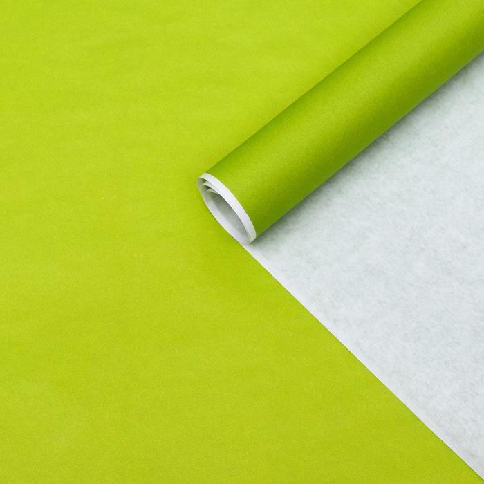 Бумага упаковочная крафт, салатовый, 70 х 90 см, 70 г/м²
Бумага упаковочная крафт, салатовый, 70 х 90 см, 70 г/м²