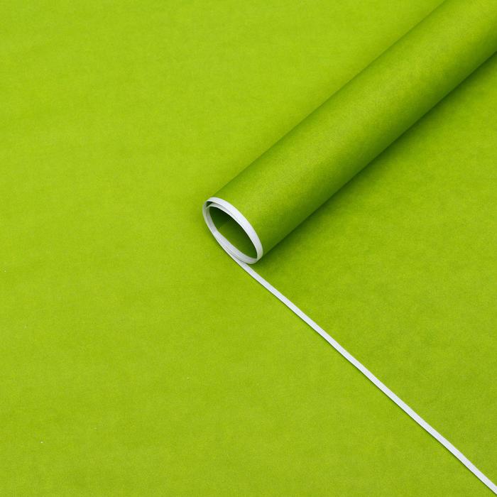 Бумага для декора и флористики, UPAK LAND, крафт, двусторонняя, салатовая, однотонная, зеленая, лист 1шт., 70 х 90 см
Бумага для декора и флористики, UPAK LAND, крафт, двусторонняя, салатовая, однотонная, зеленая, лист 1шт., 70 х 90 см