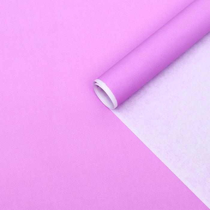 Бумага упаковочная крафт, сиреневый, 70 х 90 см, 70 г/м²
Бумага упаковочная крафт, сиреневый, 70 х 90 см, 70 г/м²