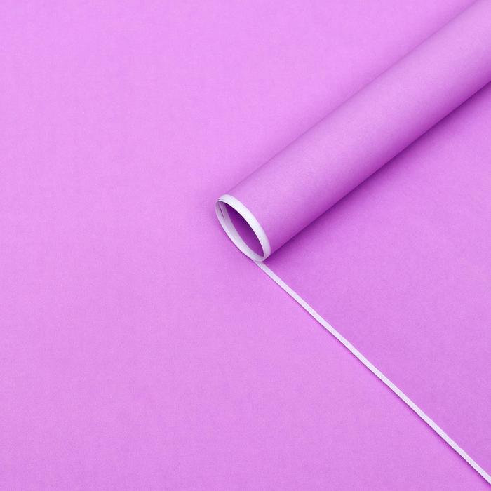 Бумага для декора и флористики, UPAK LAND, крафт, двусторонняя, сиреневая, однотонная, лист 1шт., 70 х 90 см
Бумага для декора и флористики, UPAK LAND, крафт, двусторонняя, сиреневая, однотонная, лист 1шт., 70 х 90 см