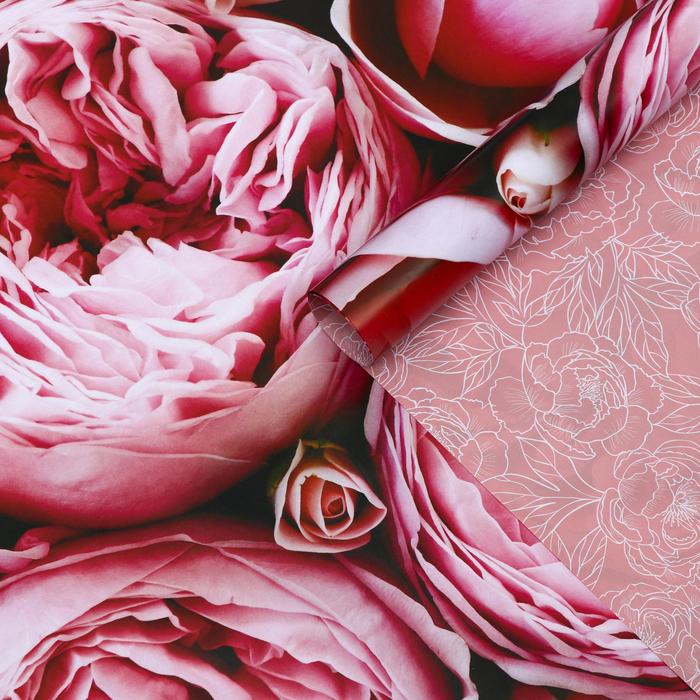 Бумага глянцевая двусторонняя "Пионы", 0,5 х 0,7 м
Бумага глянцевая двусторонняя "Пионы", 0,5 х 0,7 м