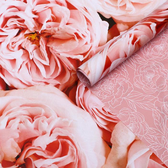 Бумага глянцевая двусторонняя "Пионы", 0,5 х 0,7 м 
Бумага глянцевая двусторонняя "Пионы", 0,5 х 0,7 м