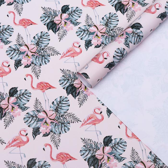 Бумага глянцевая "Фламинго", 0,5 х 0,7 м
Бумага глянцевая "Фламинго", 0,5 х 0,7 м