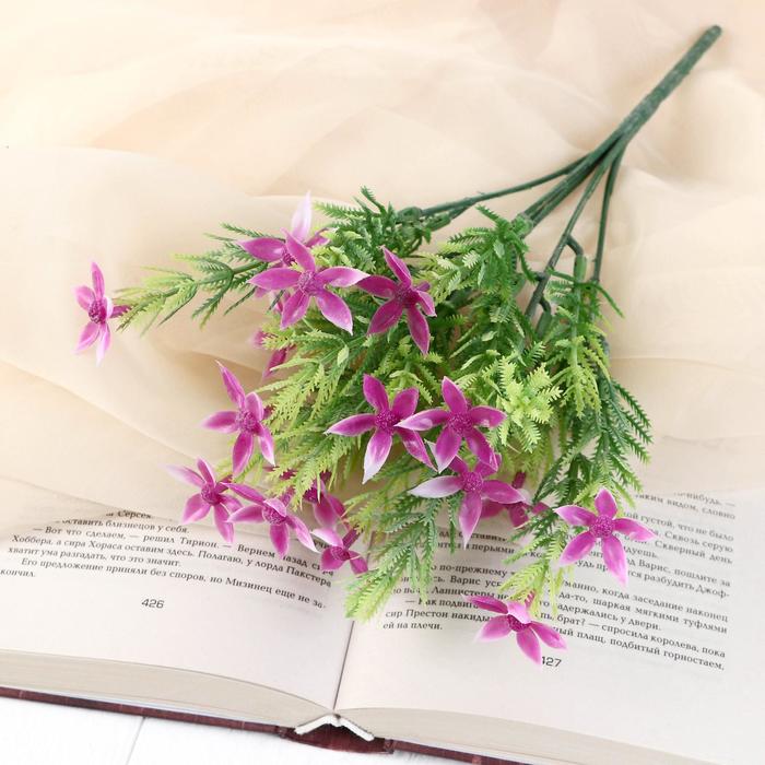 Букет "Пентас" 28 см, микс
Букет "Пентас" 28 см, микс