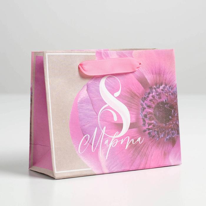 Пакет крафтовый горизонтальный «Волшебный праздник», S 15 х 12 х 5,5 см
Пакет крафтовый горизонтальный «Волшебный праздник», S 15 х 12 х 5,5 см