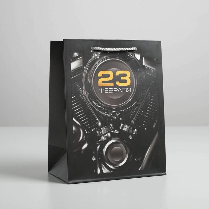 Пакет ламинированный вертикальный «23 февраля», MS 18 × 23 × 10 см
Пакет ламинированный вертикальный «23 февраля», MS 18 × 23 × 10 см